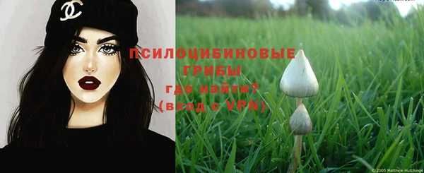 гидропоника Богородск