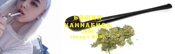 амф Богородицк