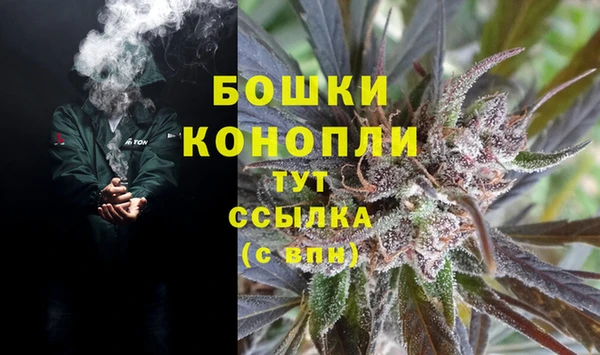 амф Богородицк