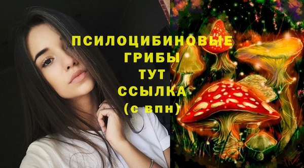 амф Богородицк