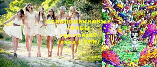 амф Богородицк