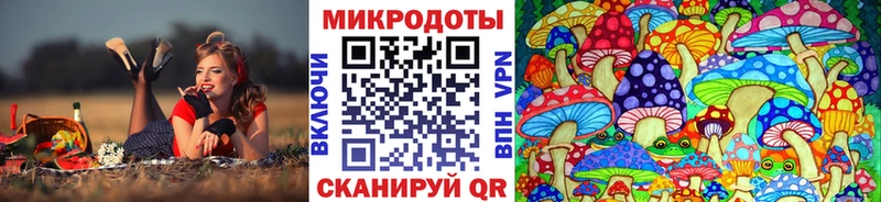 где продают   Волосово  Псилоцибиновые грибы Psilocybine cubensis 